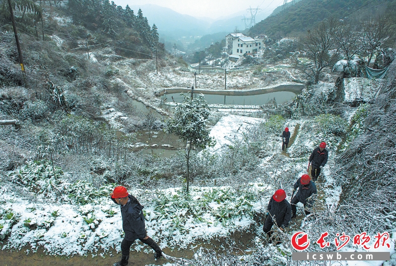 　　昨日，黑麋峰白雪皑皑，为确保正常供电，望城区电力局工作人员正在山上巡防检修。