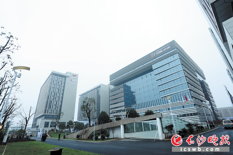 　　以长沙（国家）广告产业园为核心，天心区将打造成为全市乃至全省的双创高地。资料图片