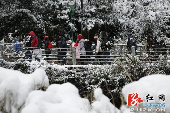 张家界宝峰湖：雪山碧水交融成趣
