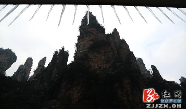 张家界核心景区武陵源梓木岗路段恢复通行 欣赏雪景正当时