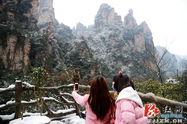 张家界核心景区武陵源梓木岗路段恢复通行 欣赏雪景正当时