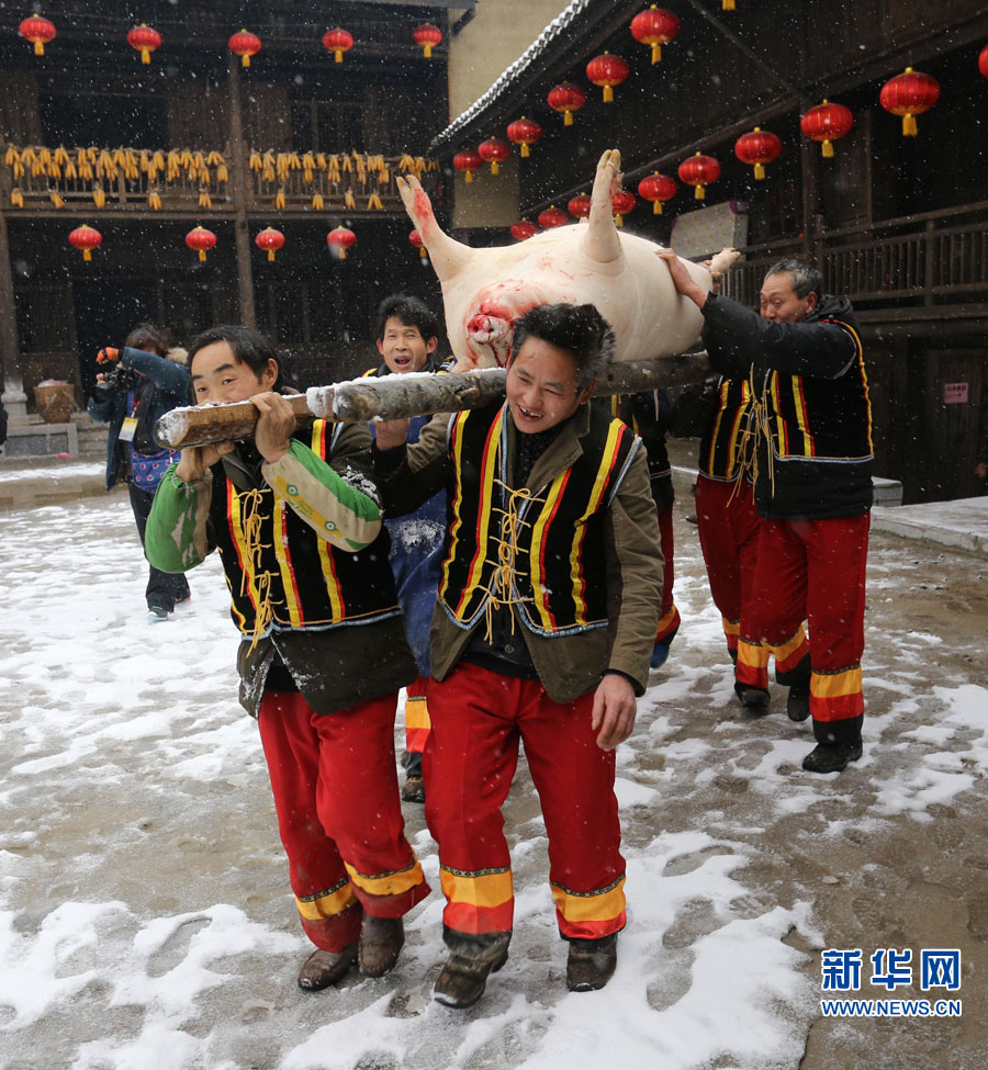 图为犀牛寨杀年猪。