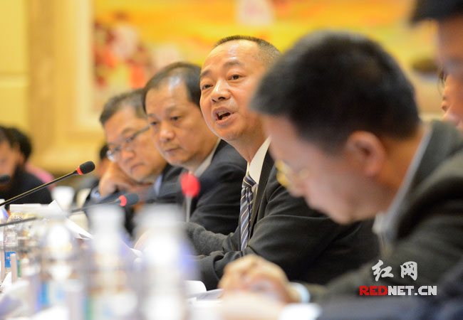 湖南省政协委员刘祥华在讨论会上发言。