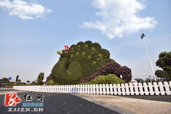 张家界市城区“穿新装”迎新年