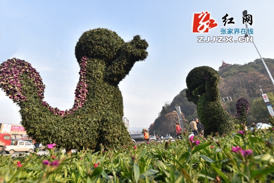 张家界市城区“穿新装”迎新年