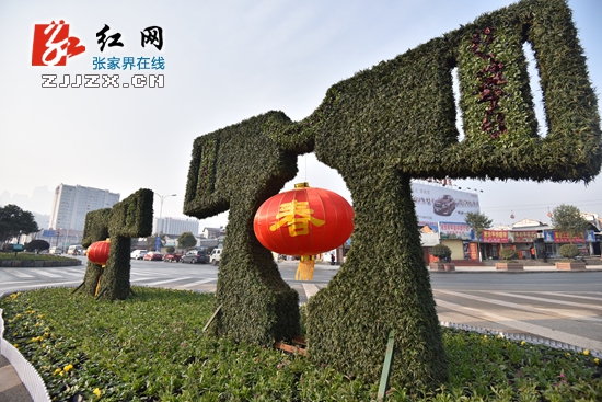 张家界市城区“穿新装”迎新年