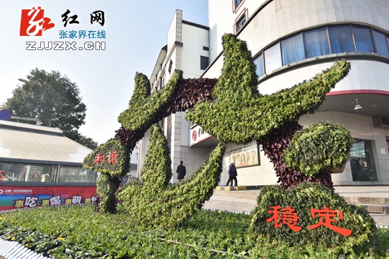 张家界市城区“穿新装”迎新年