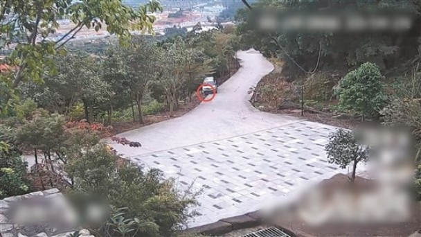 司机忘拉手刹 跑车后挡车遭碾压瞬间