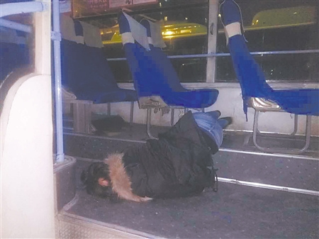 男子喝麻不省人事公交到终点倒车厢里大睡(图)