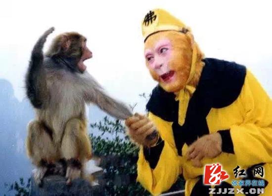 张家界核心景区武陵源邀“大圣”归来过赶年