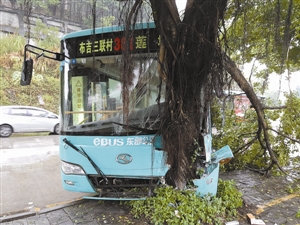 深圳一的士路中拉客 公交为躲避撞树致16人受伤