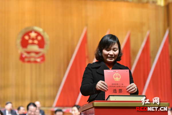 投下光荣而神圣的一票。