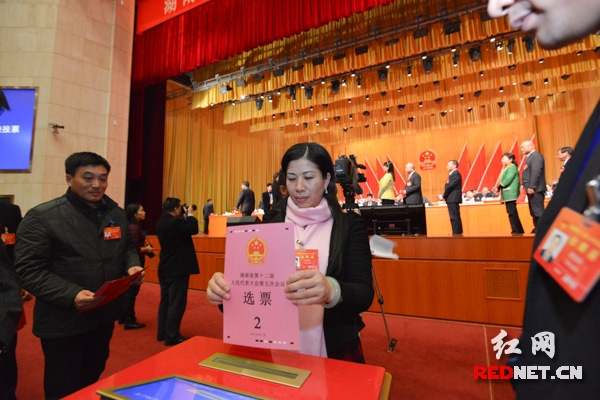 投下光荣而神圣的一票。