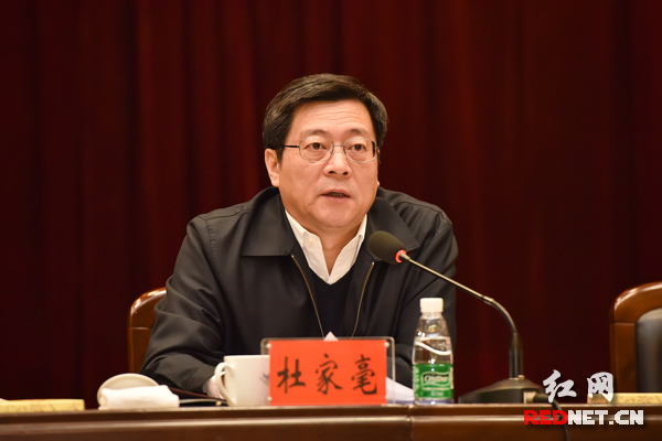 湖南省委副书记、省长杜家毫发表讲话。