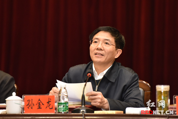 湖南省委副书记孙金龙作总结讲话。