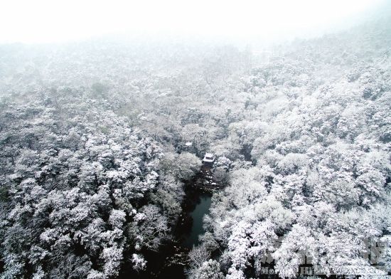 2月1日，长沙大雪纷飞，岳麓山景区银装素裹。图/记者辜鹏博