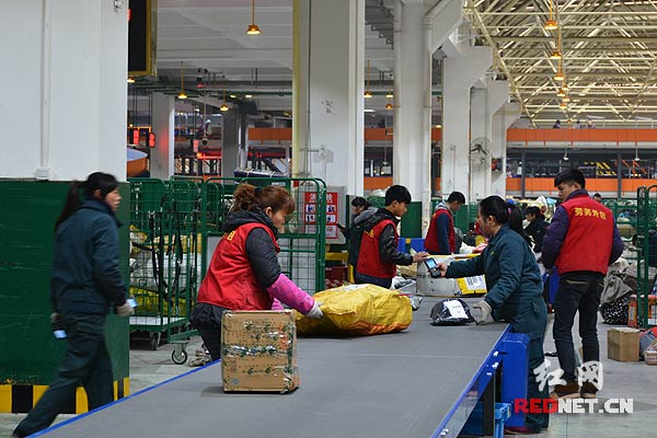 邮政工作人员正在对各类包裹进行分拣。
