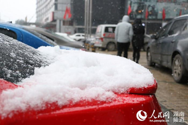 不少车辆已经积了厚厚一层雪