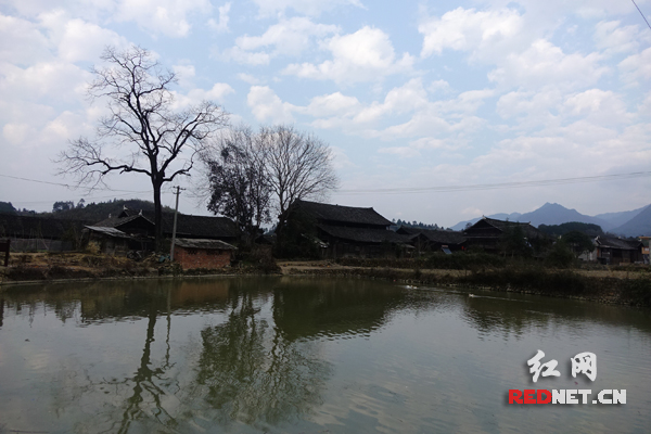 风景秀美的大园村，拥有数百年历史。
