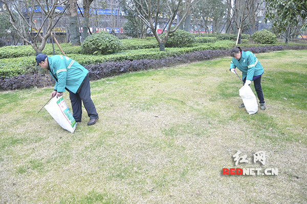 两名园林工人在清扫绿地，他们表示，宠物粪便成为清理的一大难点。
