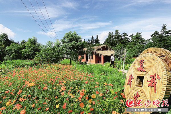 美丽乡村,坝塘乐安。杨铁军 摄