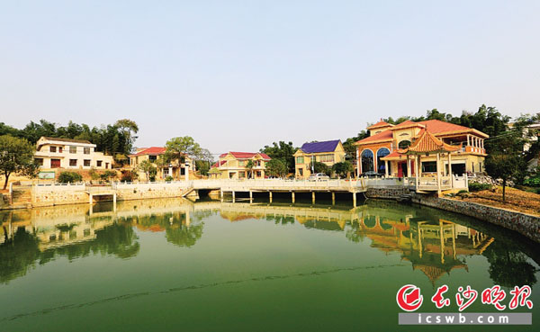 宁乡县坝塘镇金洲村,一幢幢干净明亮的农家小院整齐排开。 王典辉 摄