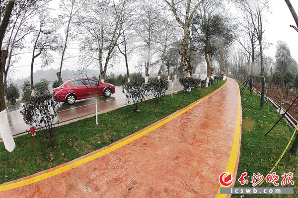 去年年底,沿319国道连接历经铺街道喇叭口和夏铎铺镇天马新村,全长13.4公里的宁乡县首条城市自行车绿道正式投入使用。 长沙晚报记者 陈飞 摄