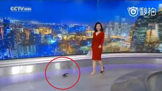 央视女主播意外踢掉高跟鞋后淡定主持引热传