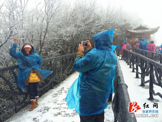 张家界天门山迎新春首场雪 万名游客欣喜一起“白头”