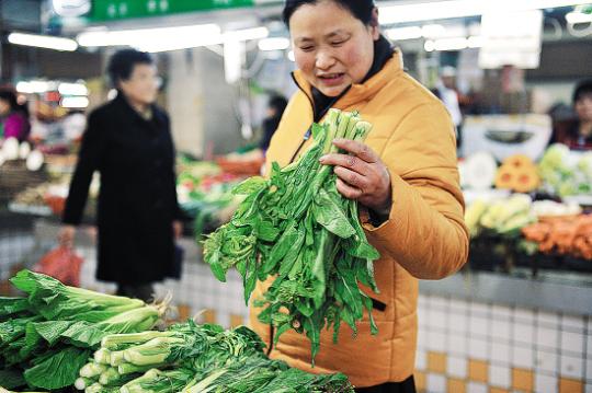 预计正月十五后，青菜价格将恢复正常 羊城晚报记者 林桂炎 摄