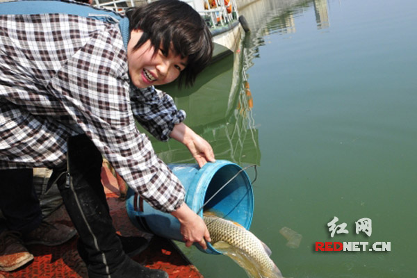 肖萍萍在洣水河边放生自家鱼塘里的鱼。