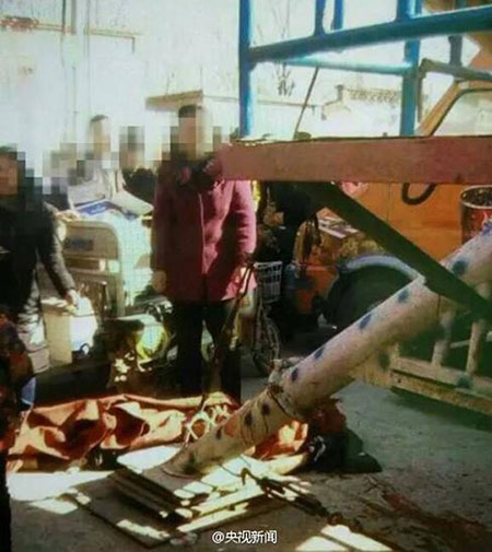 男子酒后玩“海盗船” 卷入机器当场死亡