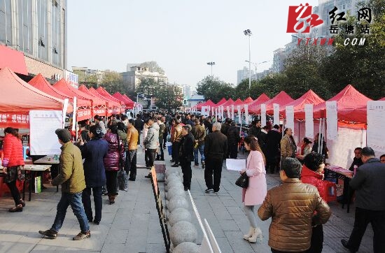 岳塘区2016年首场招聘会举行 800多人初步达成就业意向