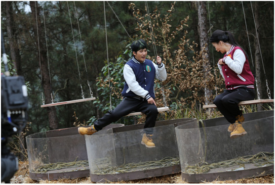 《疯狂的丛林》周六登陆深圳卫视 “大白”萌宠开启疯狂之旅