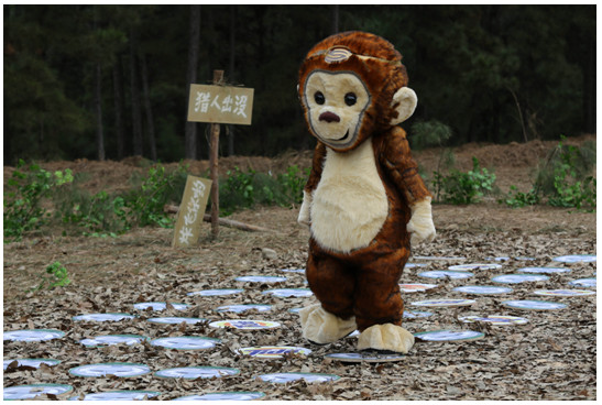 《疯狂的丛林》周六登陆深圳卫视 “大白”萌宠开启疯狂之旅