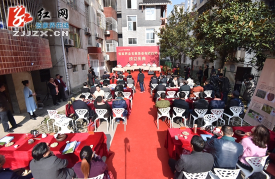 金毛猴茶业有限公司落户张家界