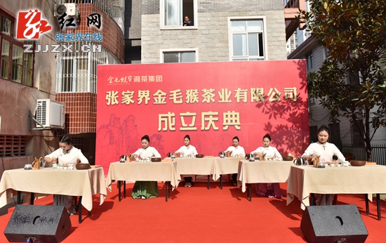 金毛猴茶业有限公司落户张家界