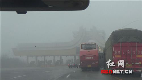收费站因大雾车辆开始排队