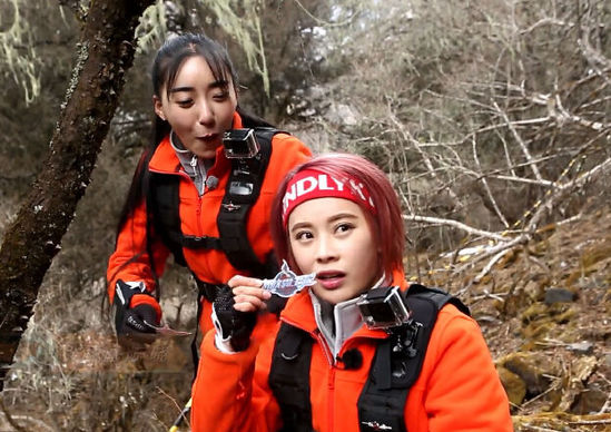 《怒放霸王花》上演心理战 张柏芝师妹智商出众