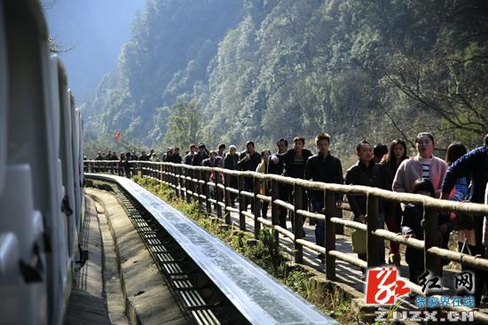 天晴春暖 张家界核心景区武陵源春游升温