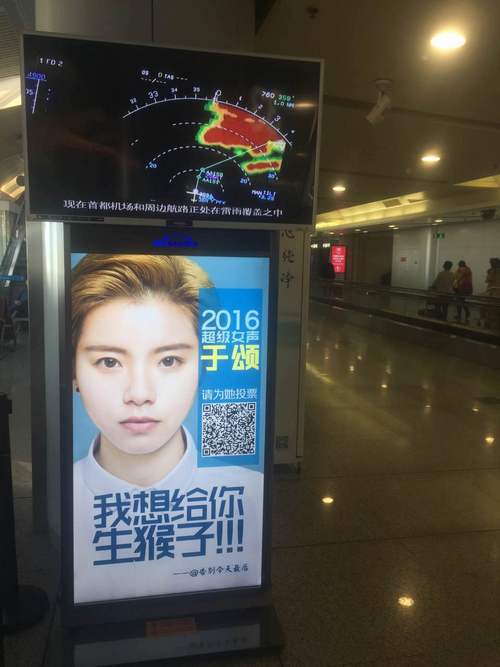 于颂北京机场海报