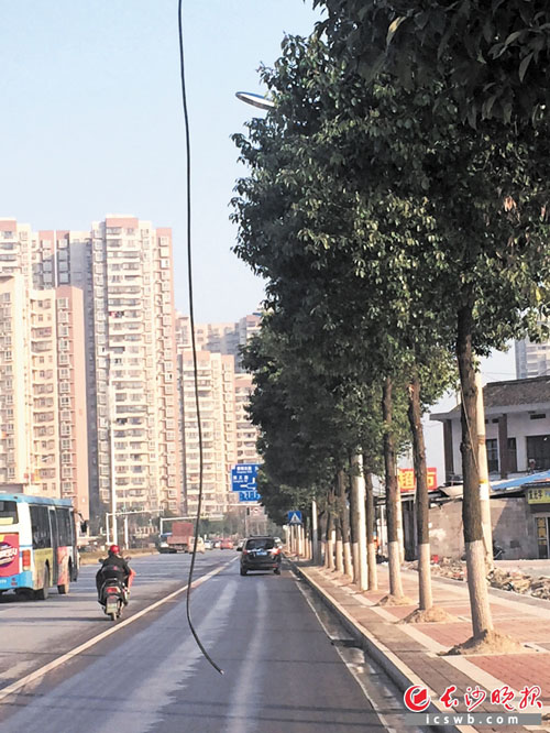 在花侯路雨花雅礼中学附近，一根电线日前掉下来悬在一个车道上，有安全隐患。　　长沙晚报帮帮团记者 谢春年 摄