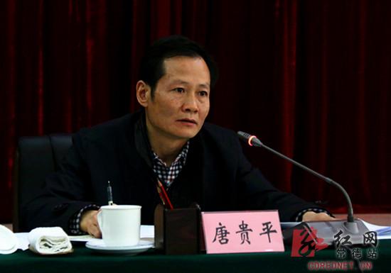 常德市委常委、宣传部长唐贵平发表讲话。