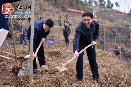 张家界市领导带头义务植树 为城市添新绿