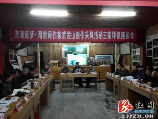 湖南省29名词作家采风永定区石偃坪村