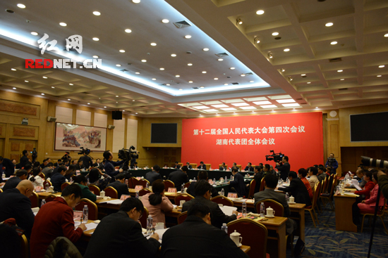 今天上午，湖南代表团在驻地举行第四次全体会议，审议“十三五”规划纲要草案（以下简称《纲要》草案）。