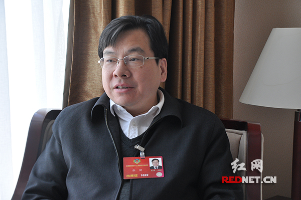 全国政协委员、湖南省卫生和计划生育委员会主任张健。