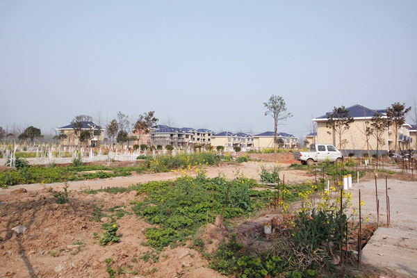 建设中的江洲墟场安置小区。朱学蕊/图