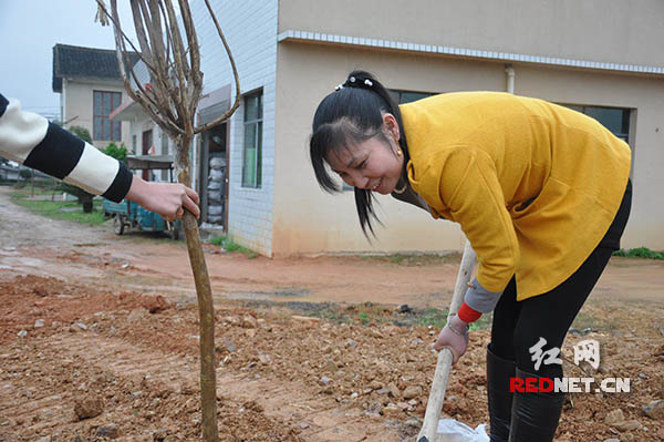 “三八”节，沙坪最佳好媳妇王艳辉在沙坪街道汉回景区和老人一起植树。