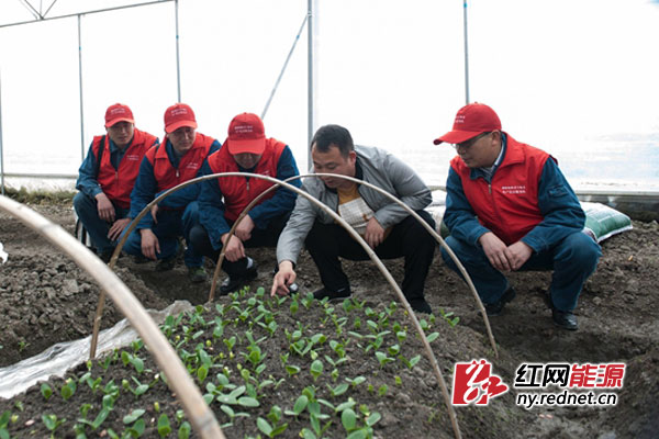 “小红帽”指导3000亩现代产业园春耕春灌安全用电